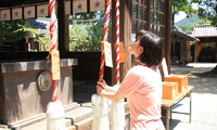 【動画】＜糸島へ行こう！＞知る人ぞ知るパワースポット、櫻井神社で厳かな気分に浸ろう！