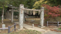 【動画】＜糸島へ行こう！＞雷山・雷神社で木々のパワーを感じよう