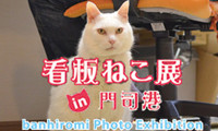 日本各地のかわいい看板猫の写真展「看板ねこ展 in門司港」 