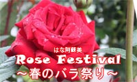 5月1日（木）から31日（土）まで、熊本県阿蘇で「Rose Festival ～春のバラ祭り～」が開催中！！