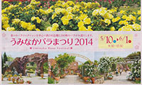 2，200株のバラがお出迎え！「うみなかバラまつり2014」開催中！！