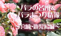 九州・バラの名所＆バラまつり情報！④宮崎・鹿児島編