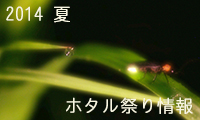 今年もこの季節がやってきました！ホタル祭り情報【第一弾】をご紹介します♪