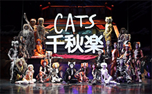 【動画】『キャッツ』福岡公演、千秋楽！特別カーテンコールも