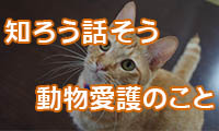 杉本彩さんも来福！動物愛護についての記念講演会が13日、福岡市で開催されます