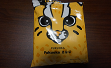 福岡市動物園のオリジナル麺・ヤマネコラーメンを食べてみた！