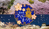 2015年もいよいよ「福岡城さくらまつり」開催！＜3月26日(木）～4月5日(日)＞ 初日はイルミネーション点灯式も！