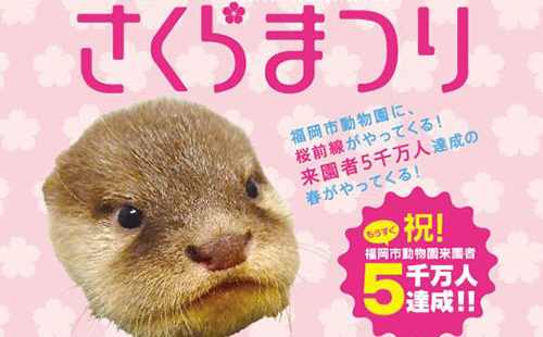 福岡県の動物園・水族館春のイベント特集