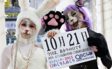 2015年10月21日「あかりの日」、本日の美人カレンダーは こくらハロウィン2015の井上純子さん、白石 蘭さん