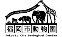28年ぶり！福岡市動物園の入園料の引き上げへ！！