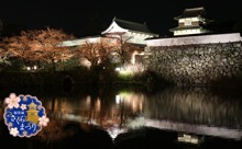 【動画】「福岡城さくらまつり」ライトアップ点灯式！
