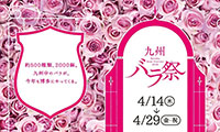 JR博多駅前広場で「九州バラ祭り2016」開催！！