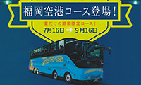 夜風やイルミネーションを楽しもう！福岡オープントップバス19：30発「福岡空港コース」が登場!