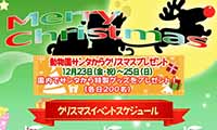 福岡市動物園でクリスマスイベント『動物園でもMERRY Xmas』が開催！本日（12／23）から！
