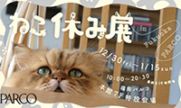 SNS界の人気ねこ大集合！「ねこ休み展」12/30(金)より、福岡パルコにて開催！