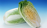 日本一の野菜ソムリエが教える！旬の食材のおいしい食べ方【vol7】今月は冬の旬の野菜「白菜 」