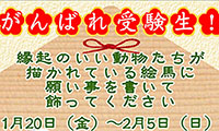 いよいよ受験シーズン本番！福岡市動物園にて合格祈願の絵馬を2/5（日）まで配布中！
