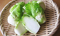 日本一の野菜ソムリエが教える！旬の食材のおいしい食べ方【vol9】今月は博多の春を告げる野菜「博多蕾菜」