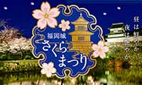 3月25日から「福岡城さくらまつり」開催！ライトアップ点灯式やイベントが目白押し！！