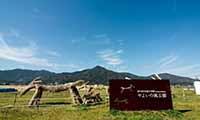 弥生時代の面影を残す国史吉武高木遺跡「やよいの風公園」グランドオープン！