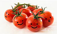 日本一の野菜ソムリエが教える！旬の食材のおいしい食べ方【vol11】今月は旬の野菜は「トマト」
