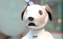 AI搭載の最新犬型ロボット「aibo（アイボ）」ソニーストアに登場！