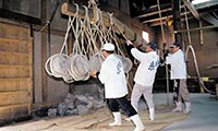 白糸酒造蔵開き「ハネ木まつり」が2018年2月24日(土)～25日(日)に開催されます