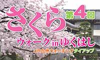 桜の名所をウォーキング！行橋市の春の風物詩「第４回さくらウォーク in ゆくはし」が4月1日（日）開催！