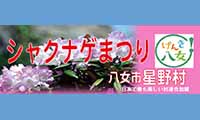 約３万本が咲きほこる！八女市星野村の星の花公園の「シャクナゲまつり」が開催【4/6（月）～5/6（日）】