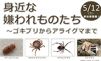 「身近な嫌われものたち～ゴキブリからアライグマまで～」５月１２日（土）まもるーむ福岡で開催