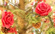【動画】モミの木にバラが咲いたイルミネーション点灯！エルガーラ・パサージュ広場「バーバリーツリー」