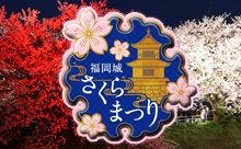 3年ぶりにライトアップ！「福岡城さくらまつり」開催！3月25日（金）より